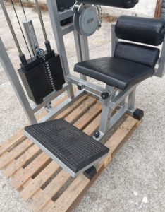 Lombaire lower back technogym isotonic