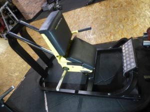 Calf Libre Technogym Pure strenght