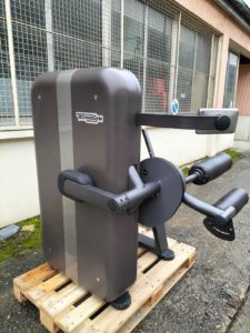 Leg curl technogym artis