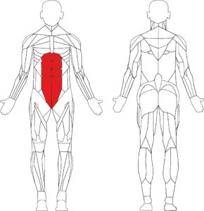 abdominal-crunch technogym selection