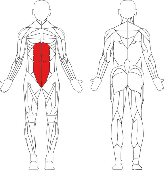 abdominal-crunch technogym selection